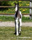 wenige Tage alt